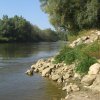 finnek 2011 013